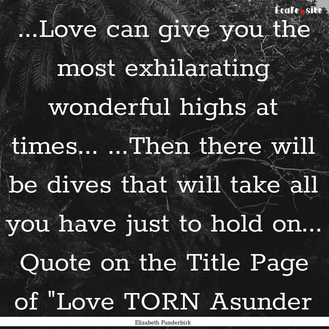 ...Love can give you the most exhilarating.... : Quote by Elizabeth Funderbirk