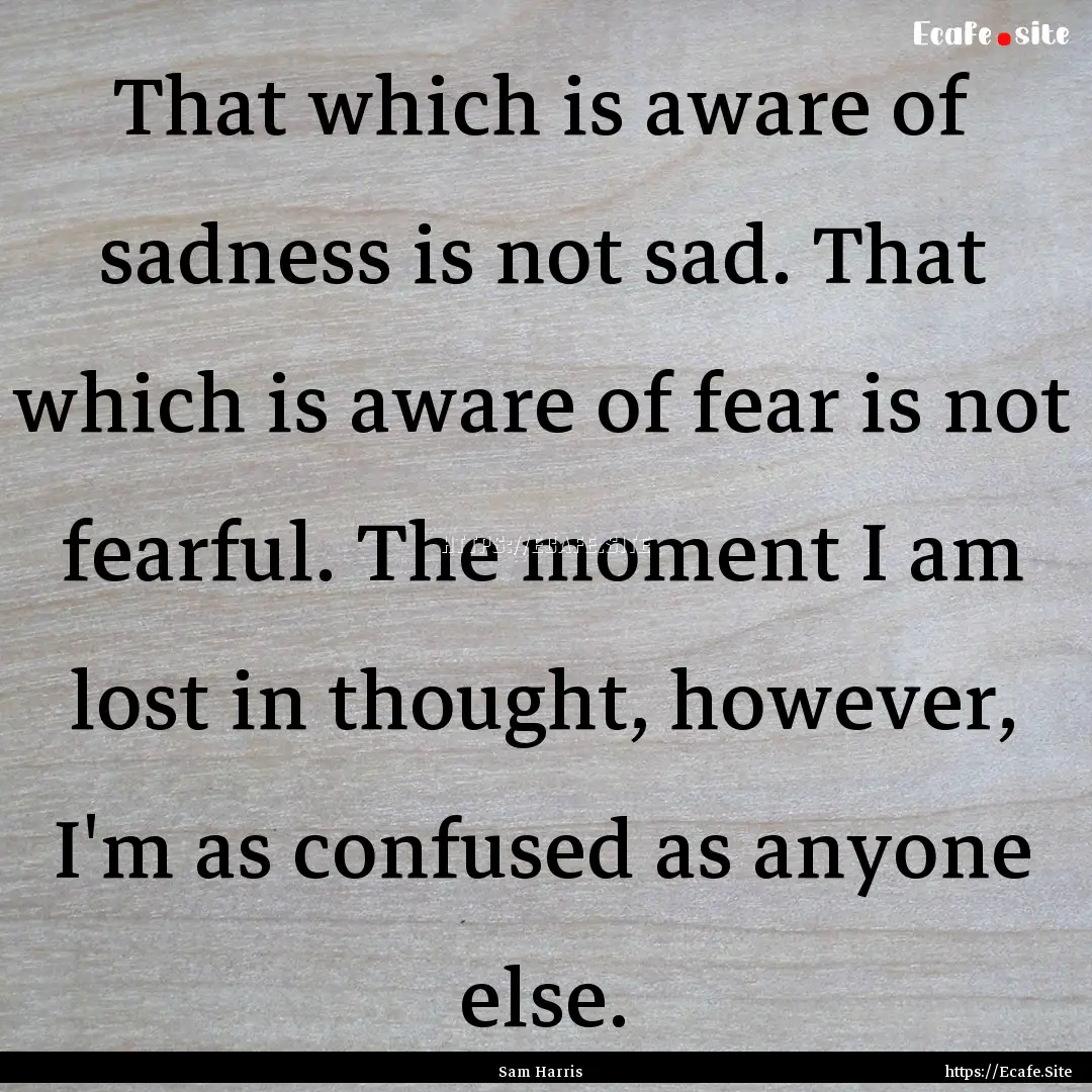 That which is aware of sadness is not sad..... : Quote by Sam Harris