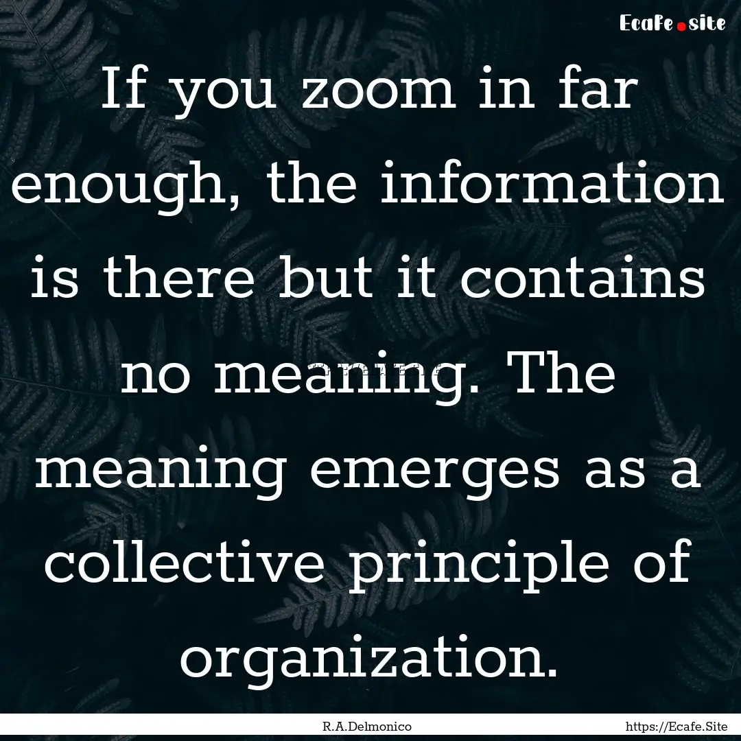 If you zoom in far enough, the information.... : Quote by R.A.Delmonico