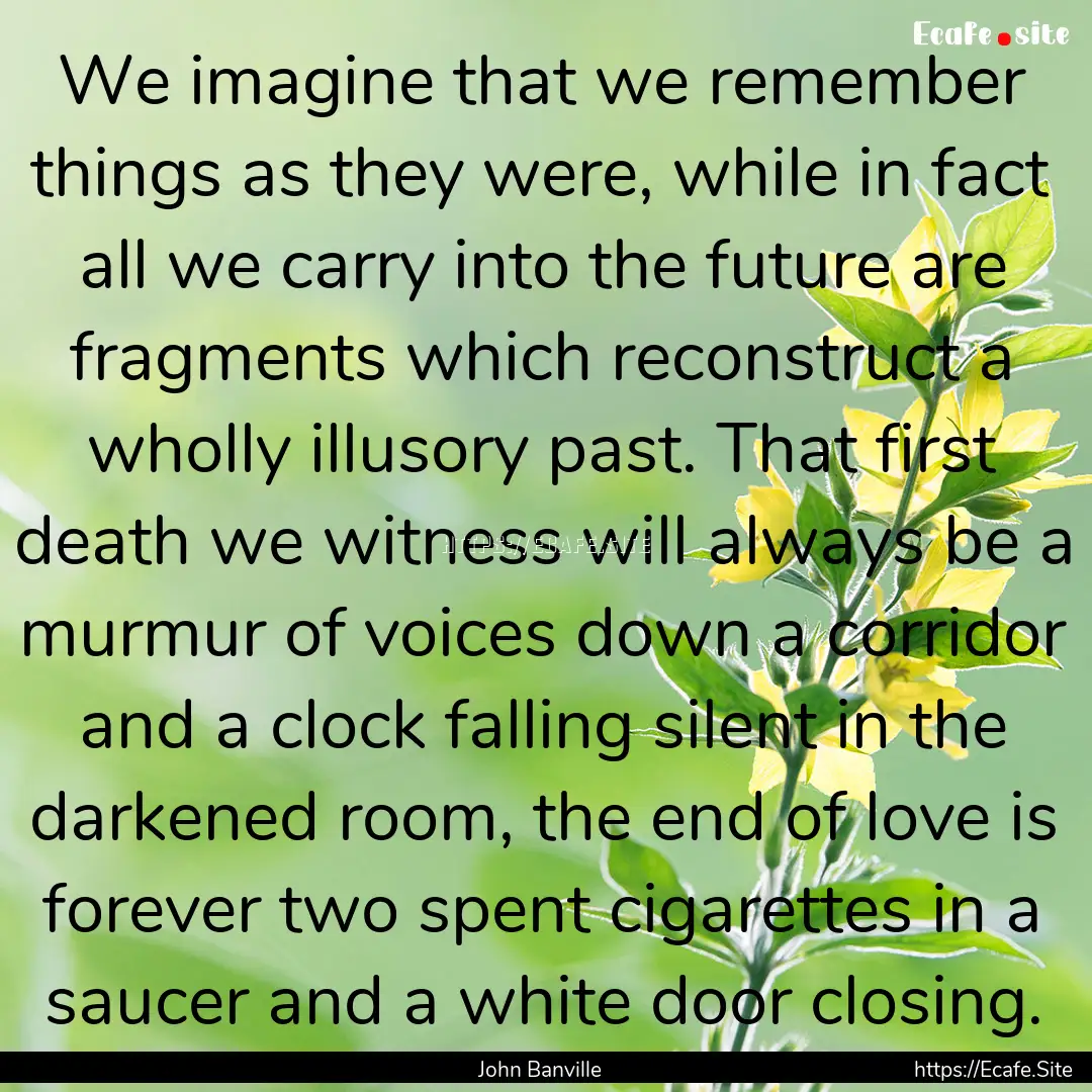 We imagine that we remember things as they.... : Quote by John Banville