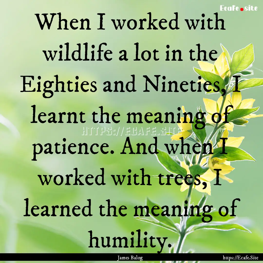 When I worked with wildlife a lot in the.... : Quote by James Balog