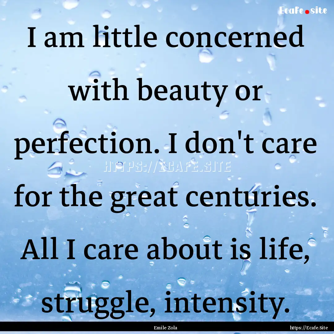 I am little concerned with beauty or perfection..... : Quote by Emile Zola