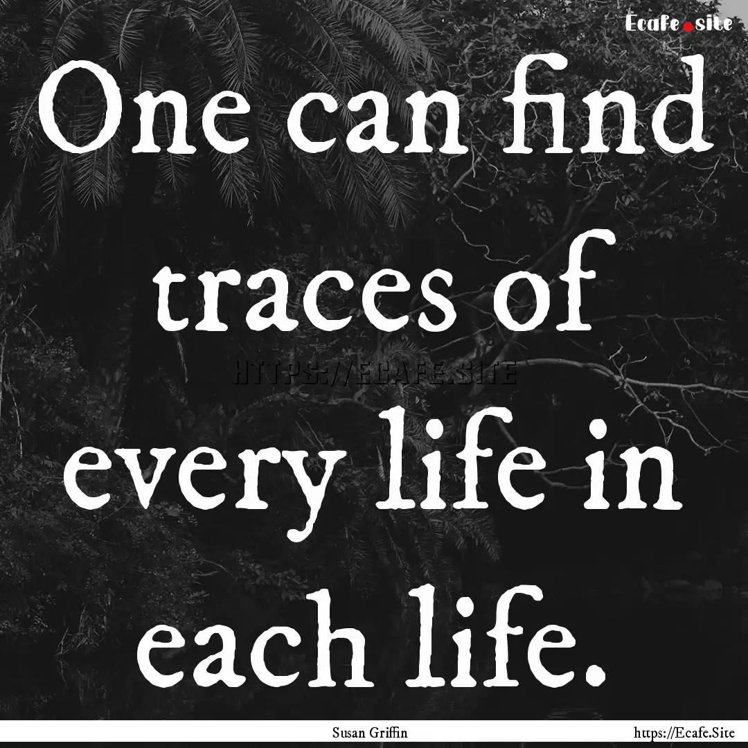 One can find traces of every life in each.... : Quote by Susan Griffin