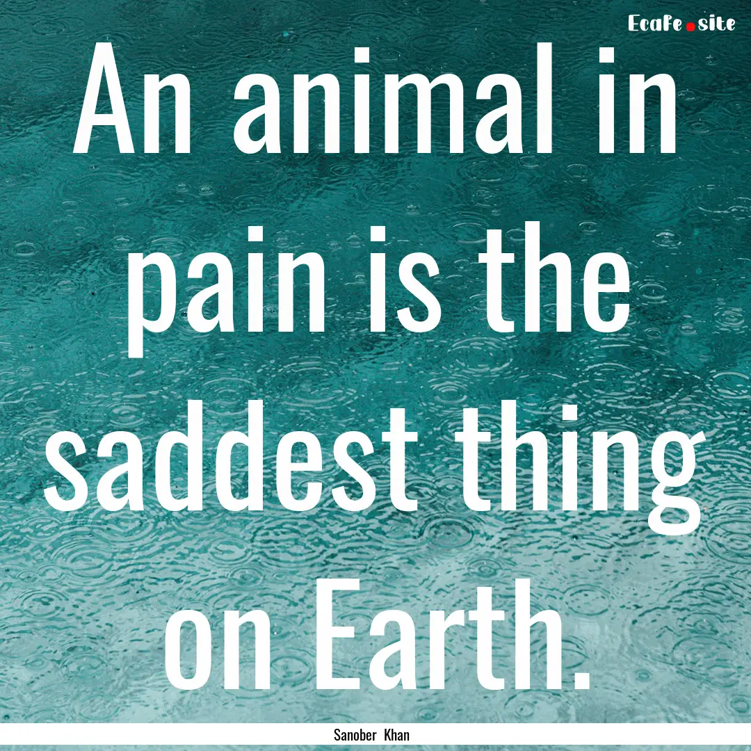 An animal in pain is the saddest thing on.... : Quote by Sanober Khan