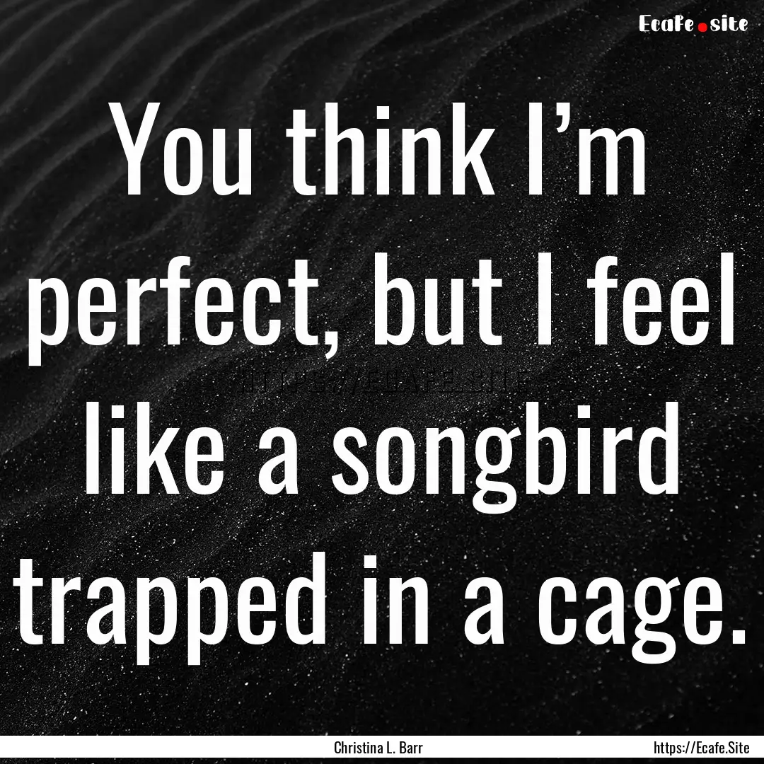 You think I’m perfect, but I feel like.... : Quote by Christina L. Barr