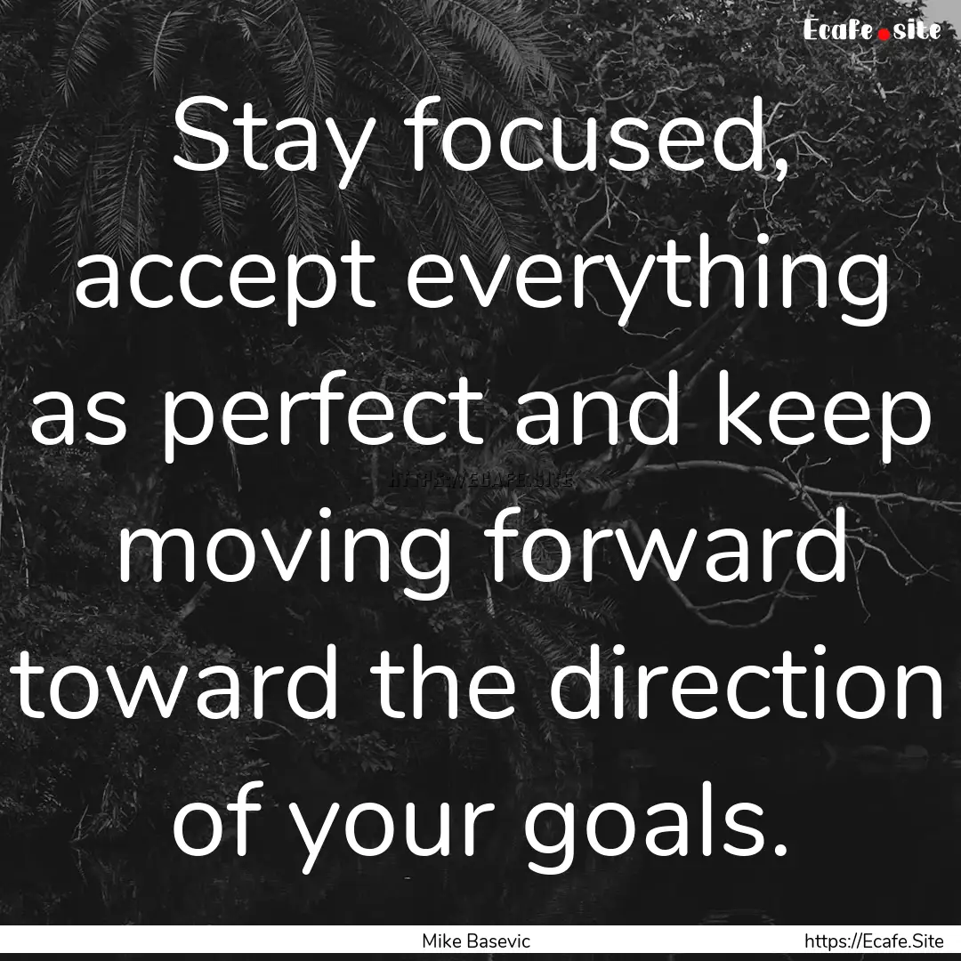 Stay focused, accept everything as perfect.... : Quote by Mike Basevic