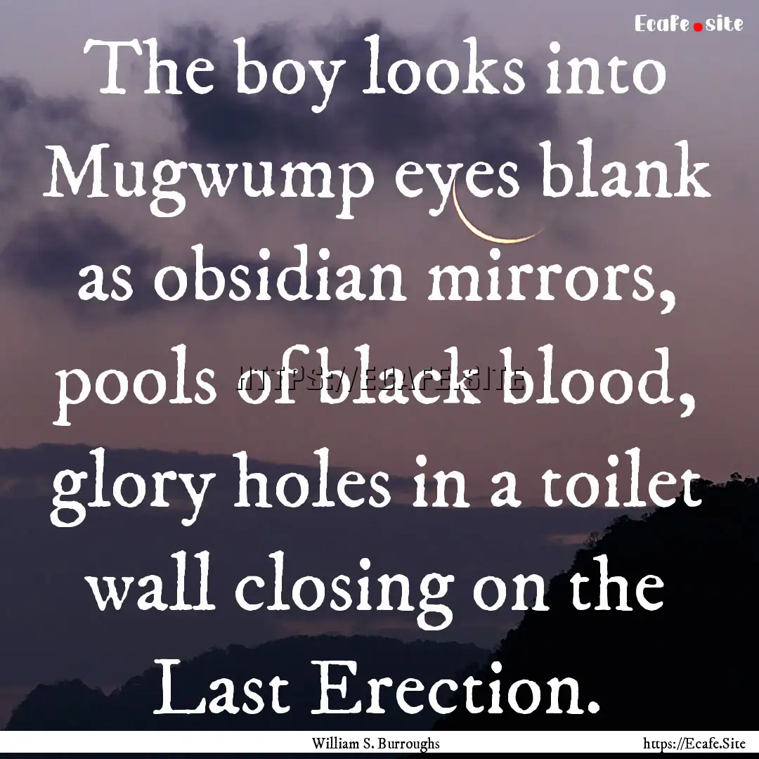 The boy looks into Mugwump eyes blank as.... : Quote by William S. Burroughs