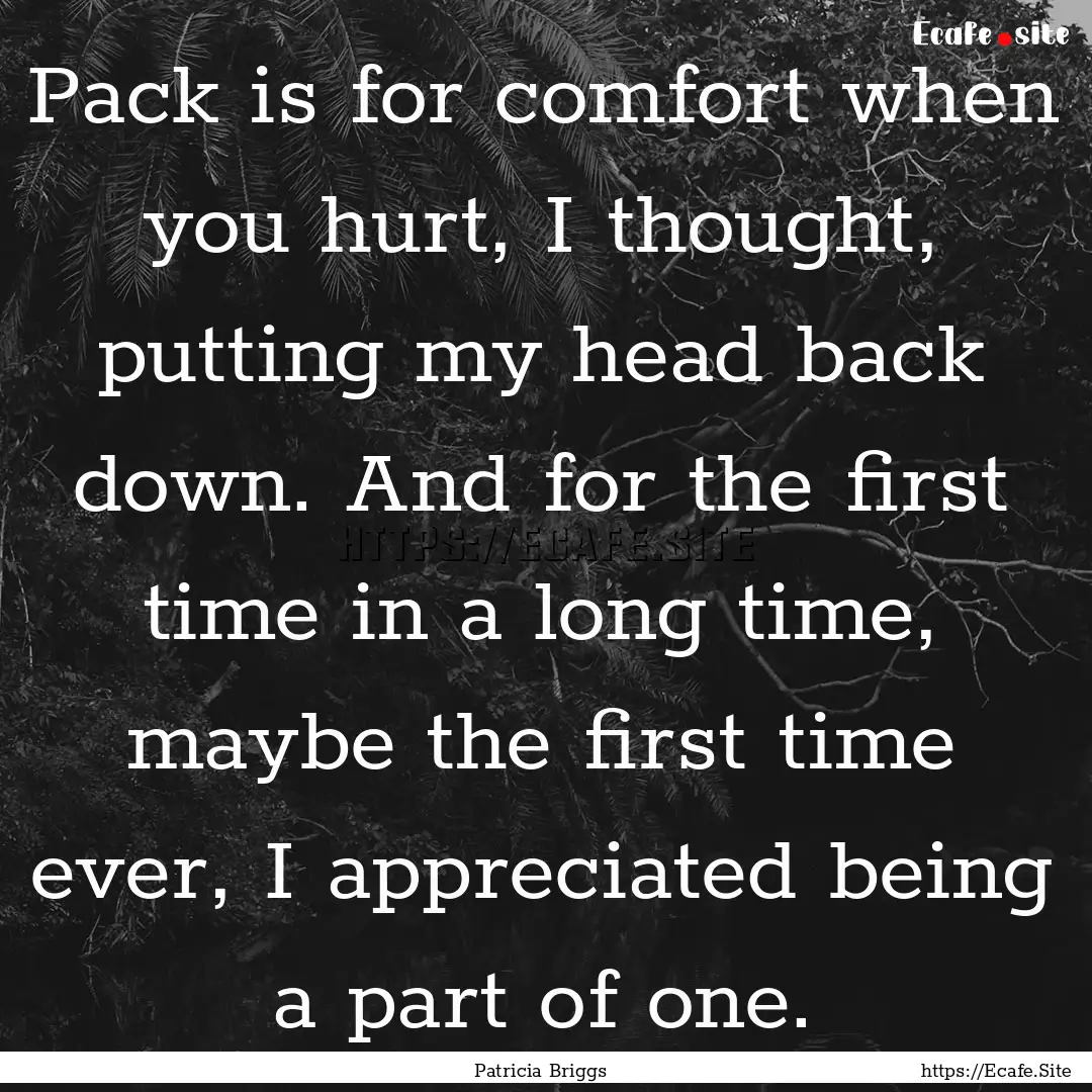 Pack is for comfort when you hurt, I thought,.... : Quote by Patricia Briggs