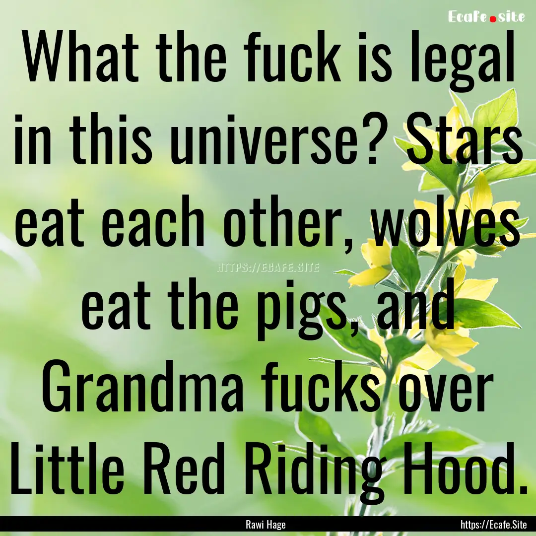 What the fuck is legal in this universe?.... : Quote by Rawi Hage