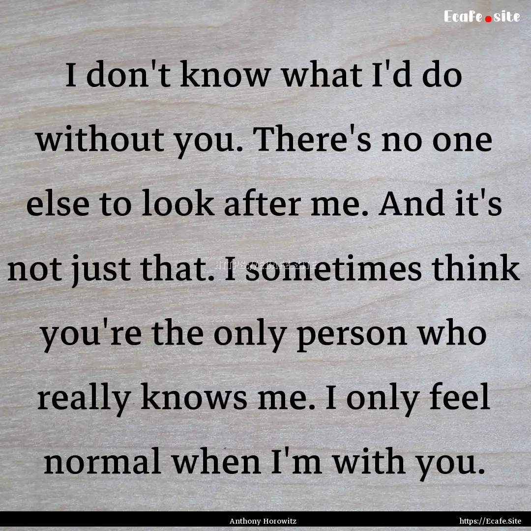 I don't know what I'd do without you. There's.... : Quote by Anthony Horowitz