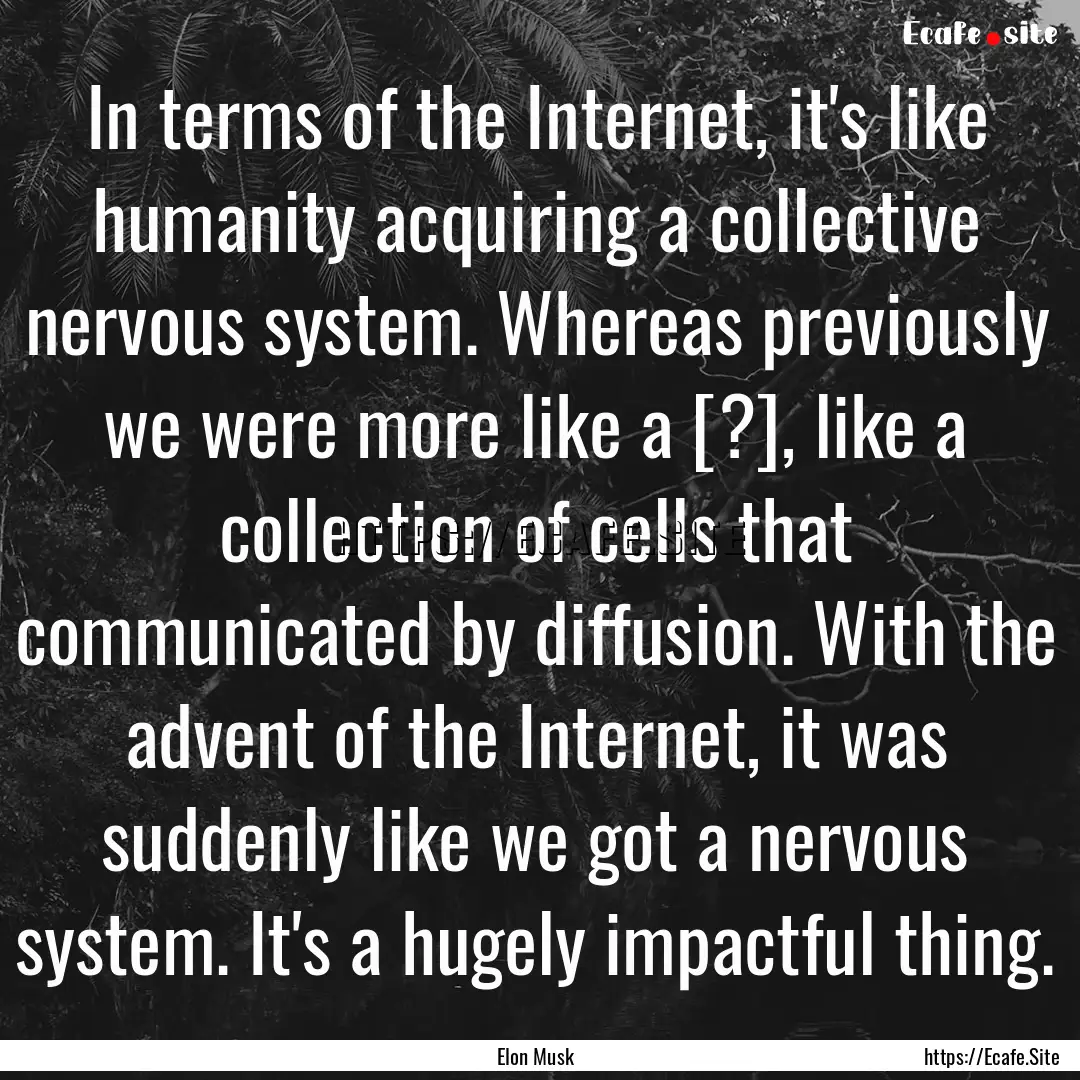 In terms of the Internet, it's like humanity.... : Quote by Elon Musk