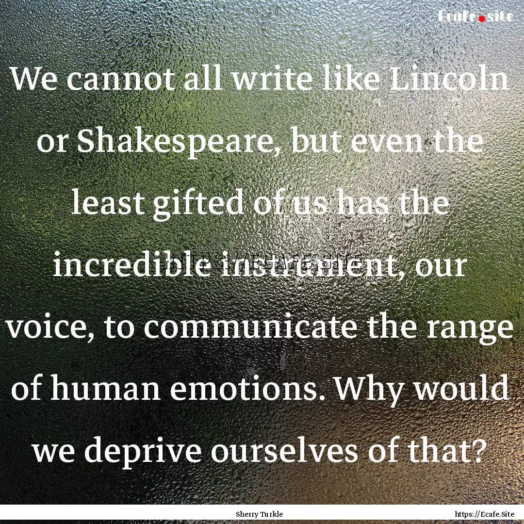 We cannot all write like Lincoln or Shakespeare,.... : Quote by Sherry Turkle