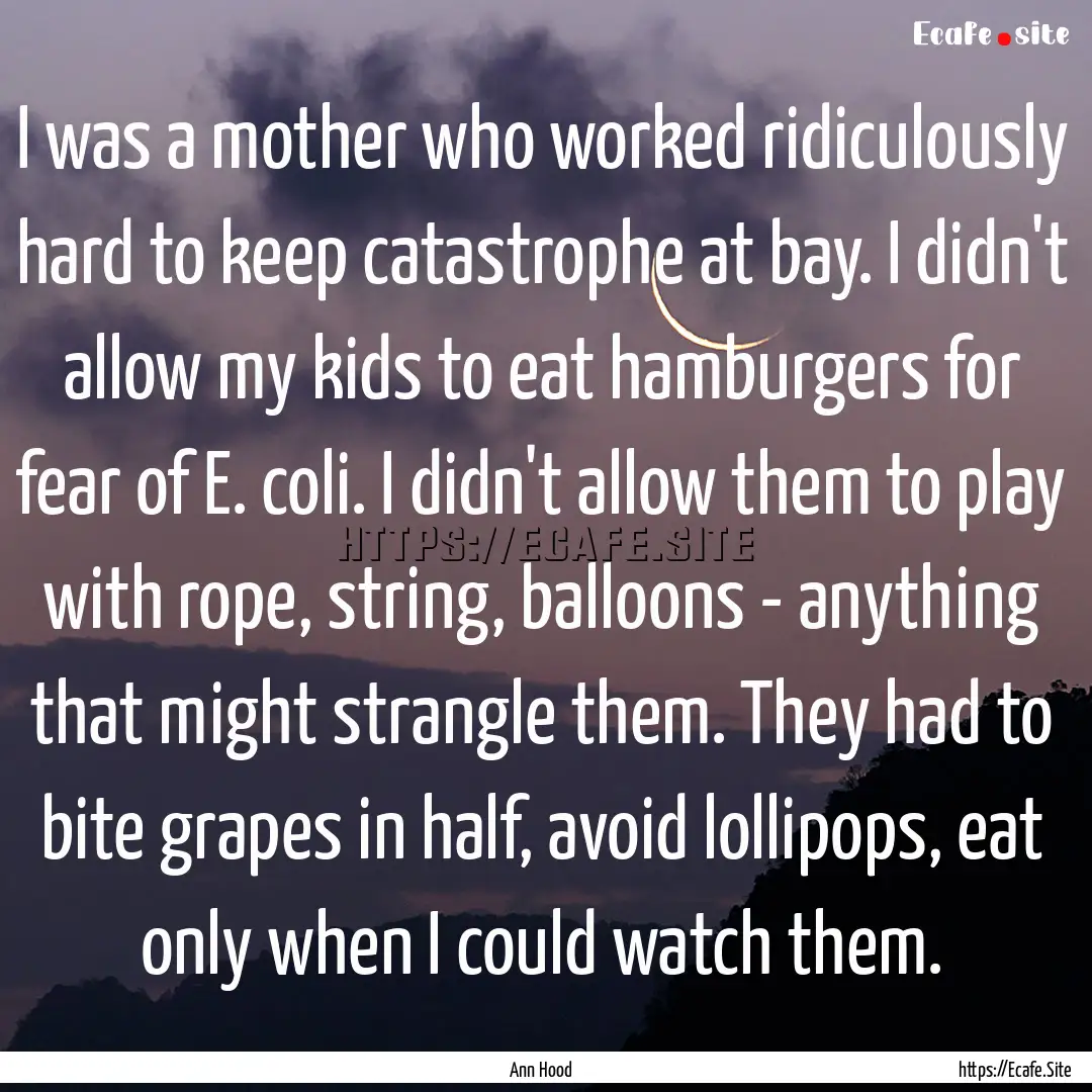 I was a mother who worked ridiculously hard.... : Quote by Ann Hood