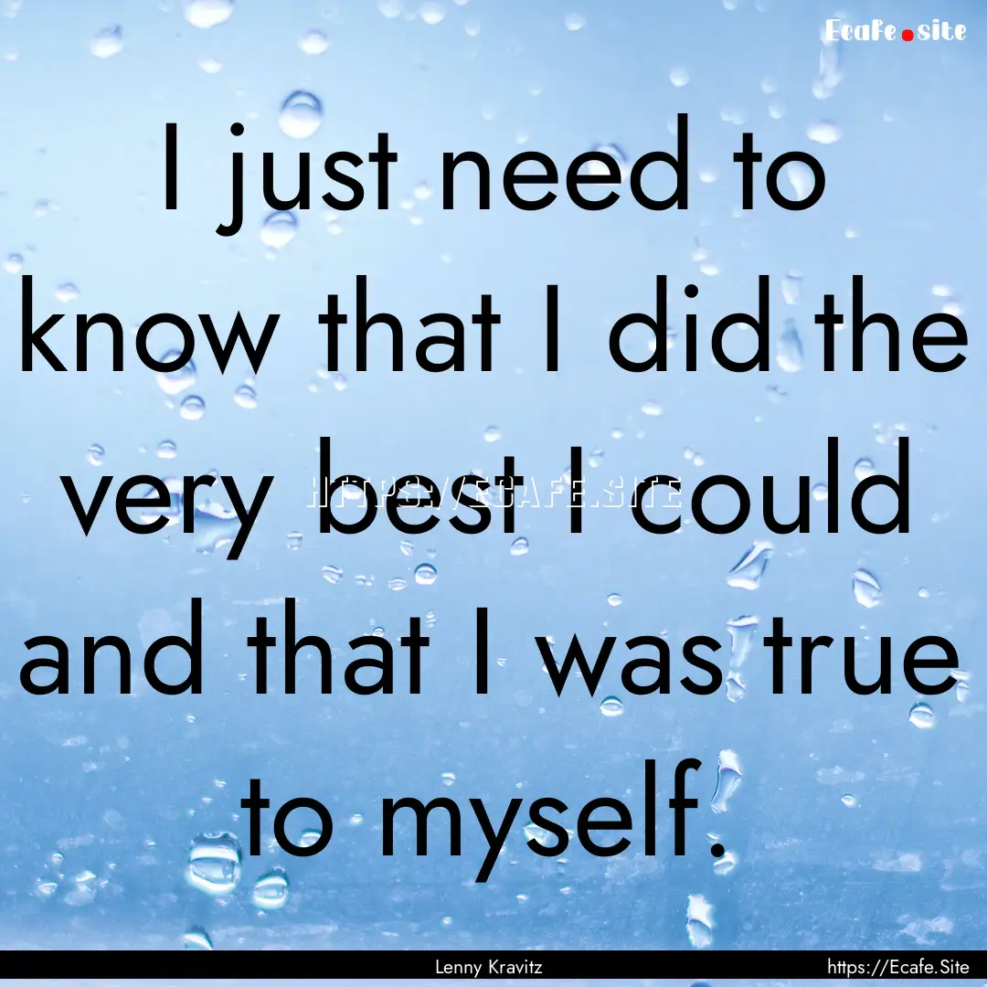 I just need to know that I did the very best.... : Quote by Lenny Kravitz