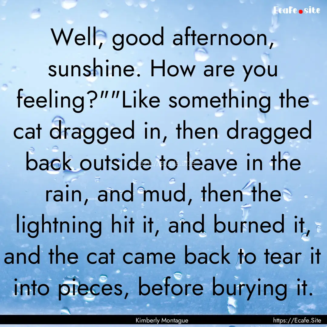 Well, good afternoon, sunshine. How are you.... : Quote by Kimberly Montague