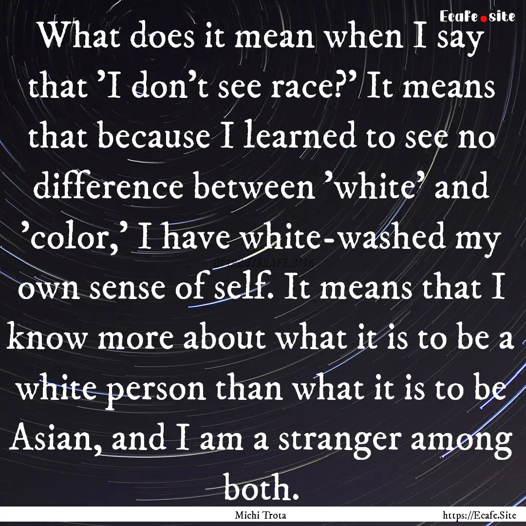 What does it mean when I say that 'I don't.... : Quote by Michi Trota