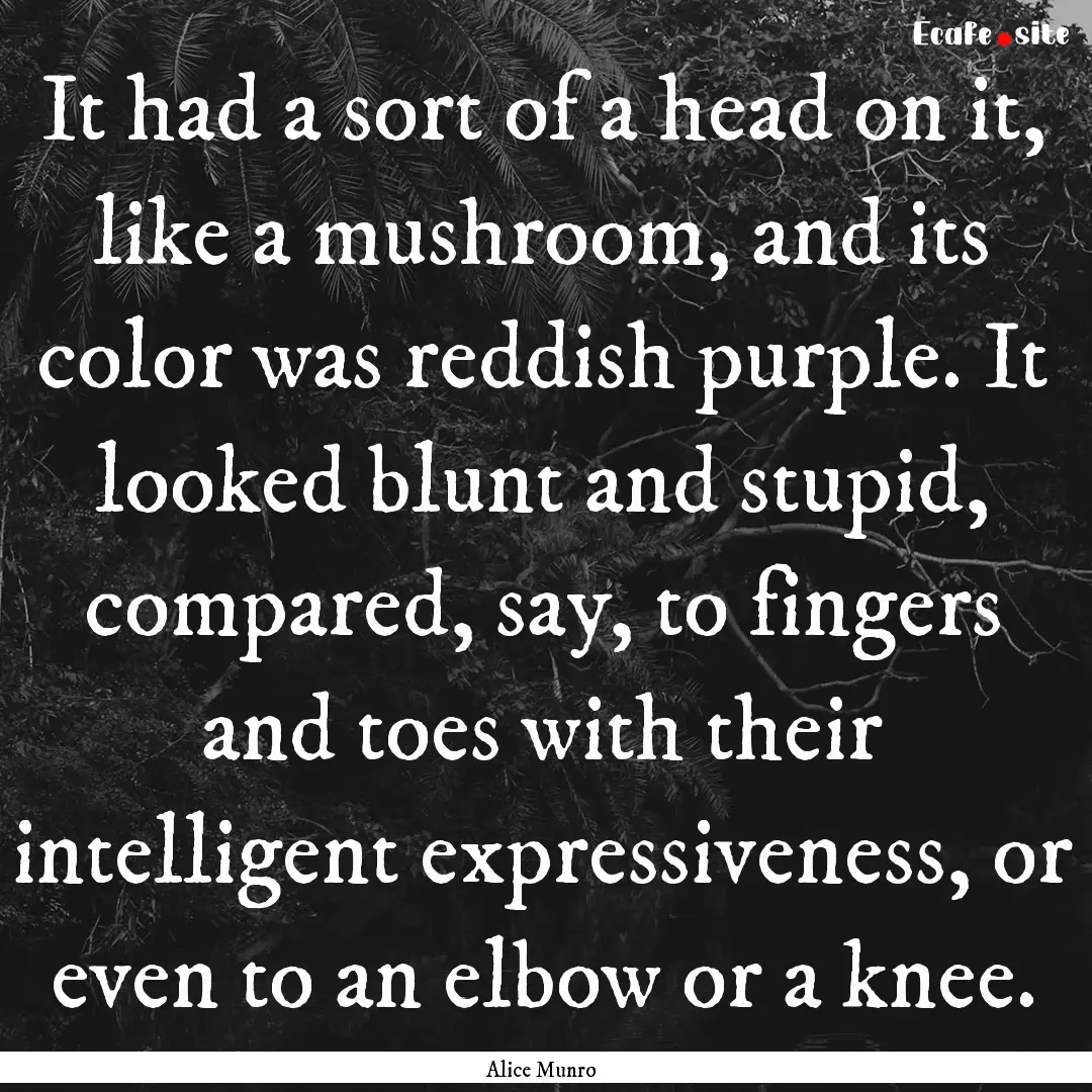 It had a sort of a head on it, like a mushroom,.... : Quote by Alice Munro