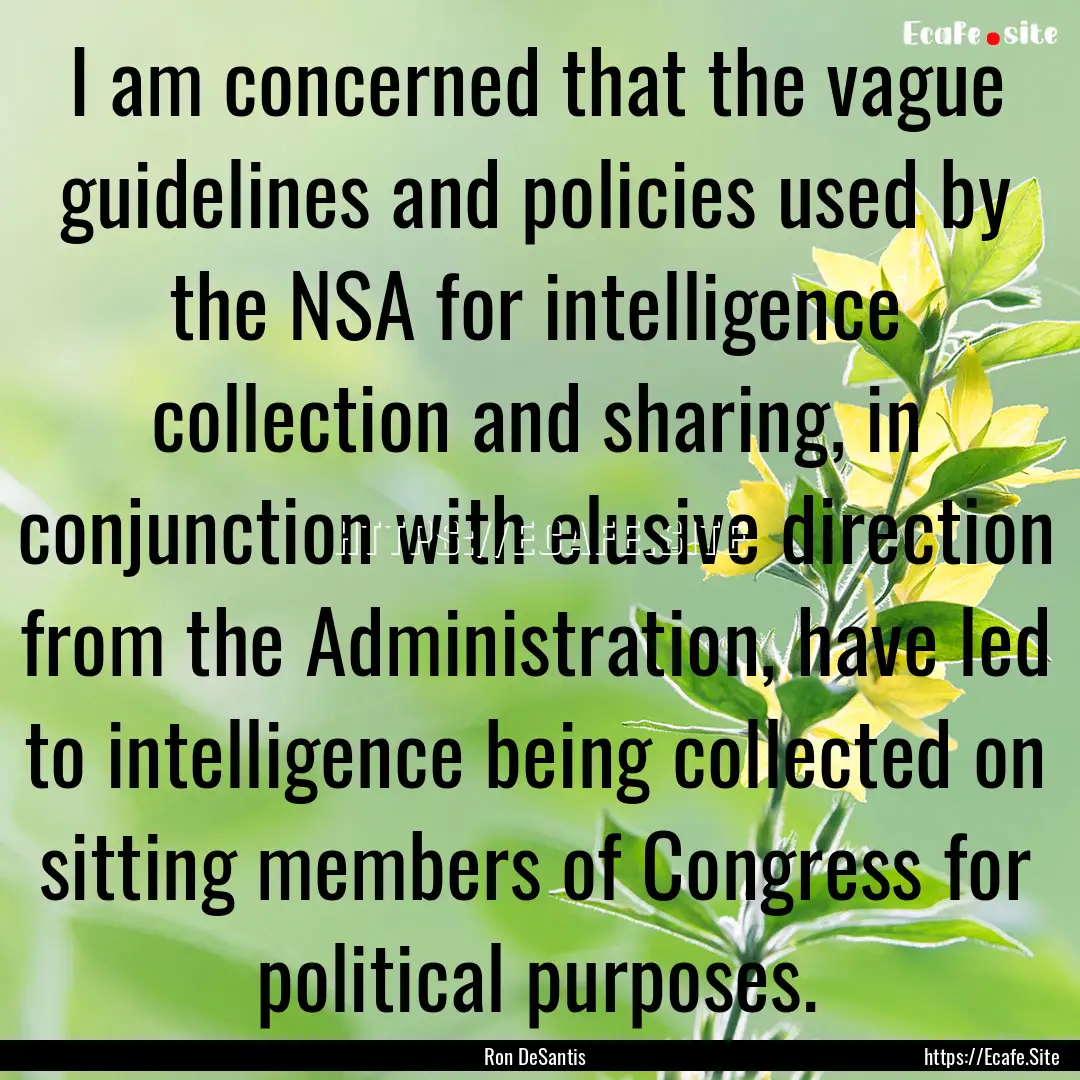 I am concerned that the vague guidelines.... : Quote by Ron DeSantis