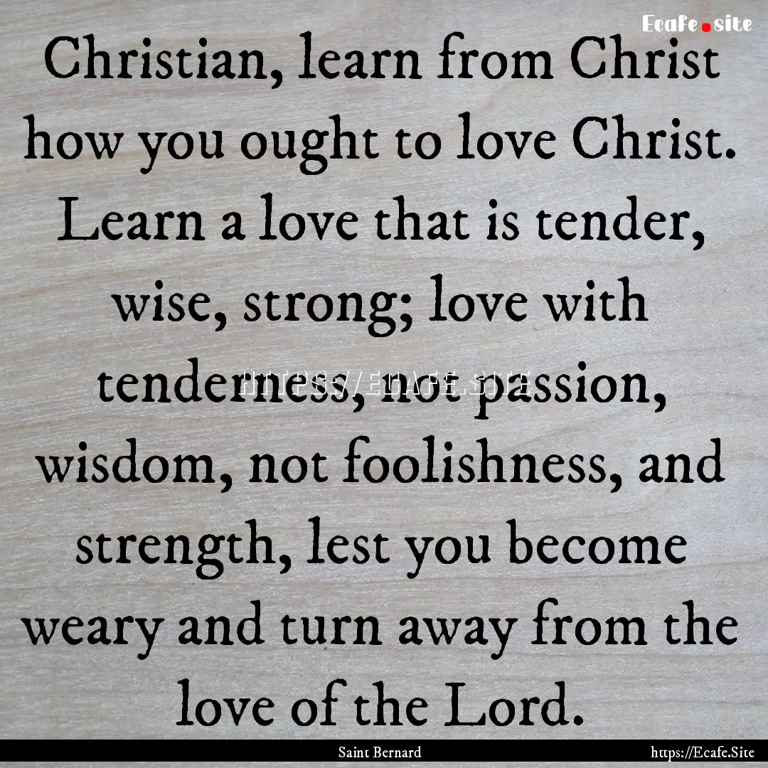 Christian, learn from Christ how you ought.... : Quote by Saint Bernard