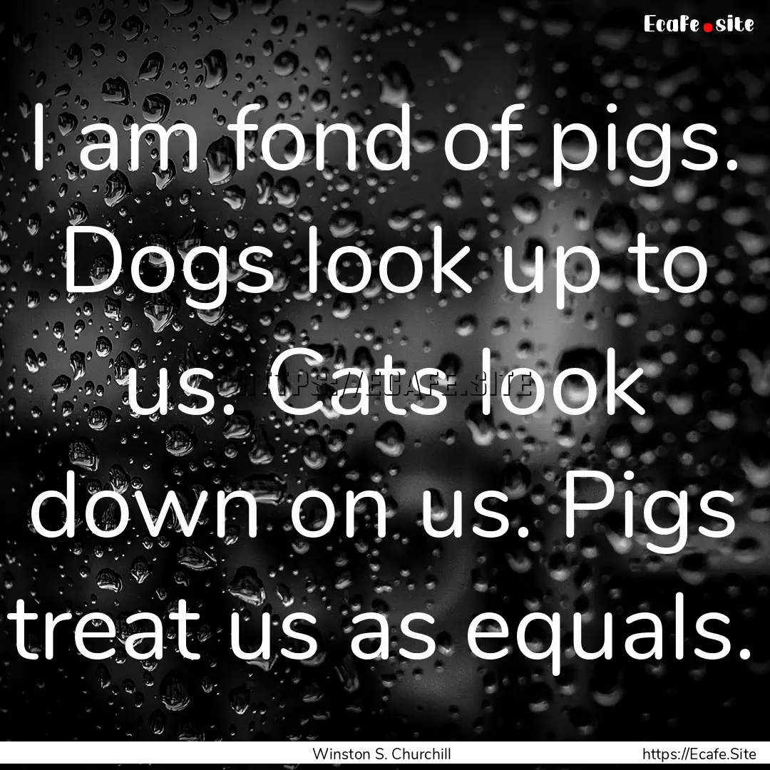 I am fond of pigs. Dogs look up to us. Cats.... : Quote by Winston S. Churchill