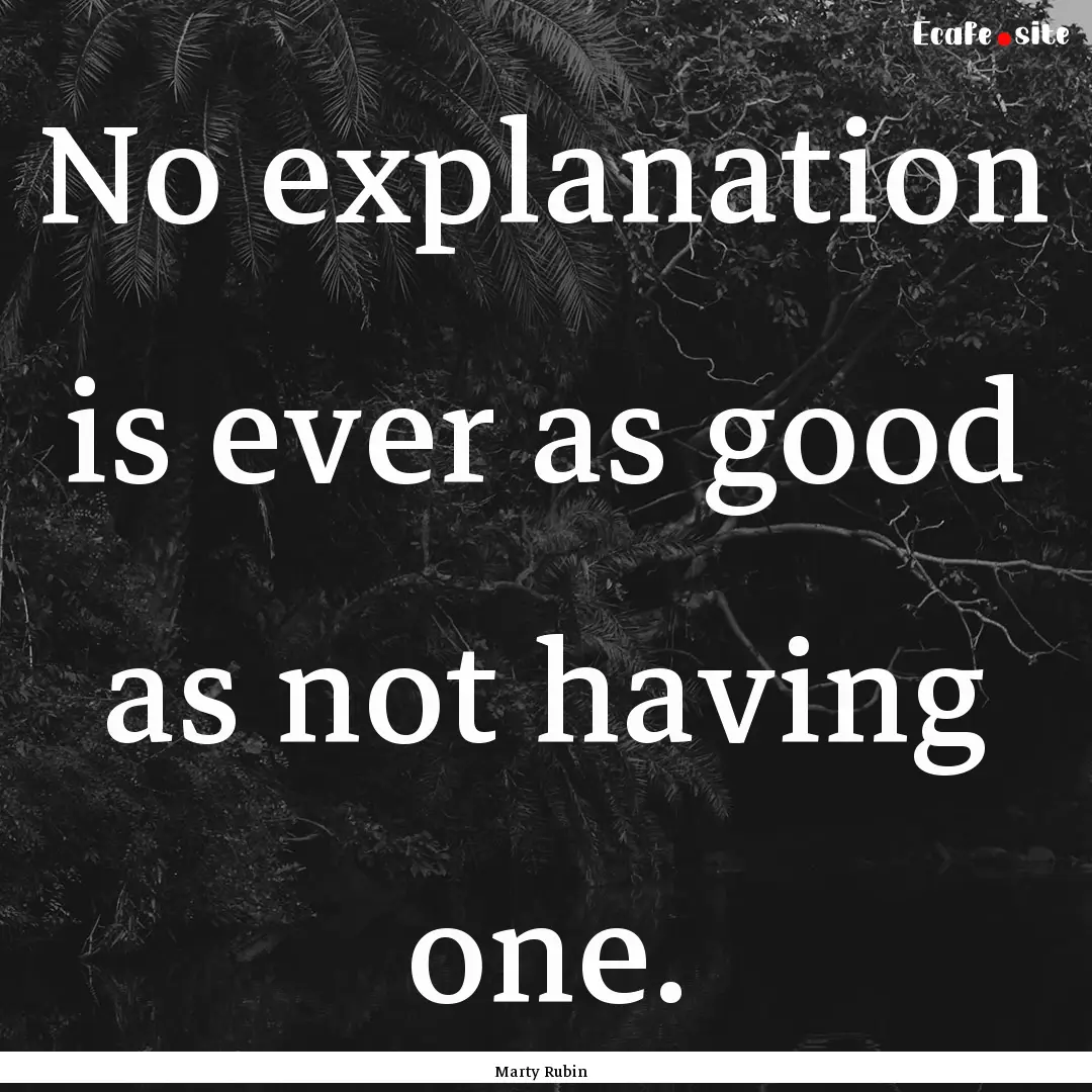 No explanation is ever as good as not having.... : Quote by Marty Rubin