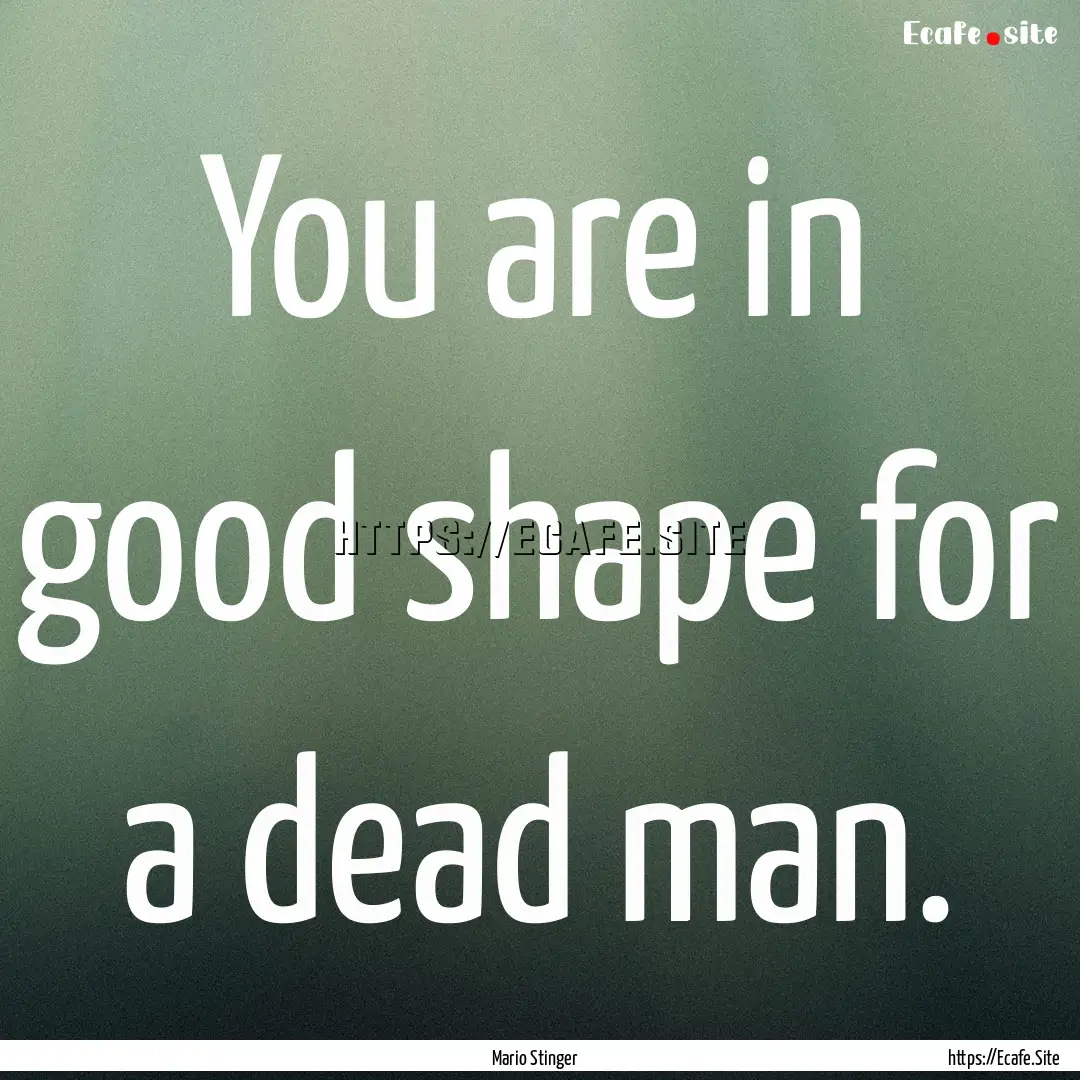 You are in good shape for a dead man. : Quote by Mario Stinger