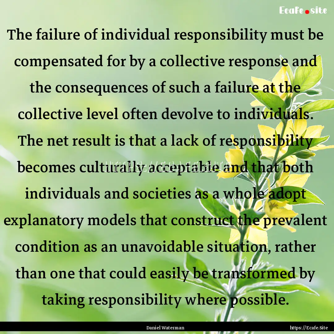 The failure of individual responsibility.... : Quote by Daniel Waterman