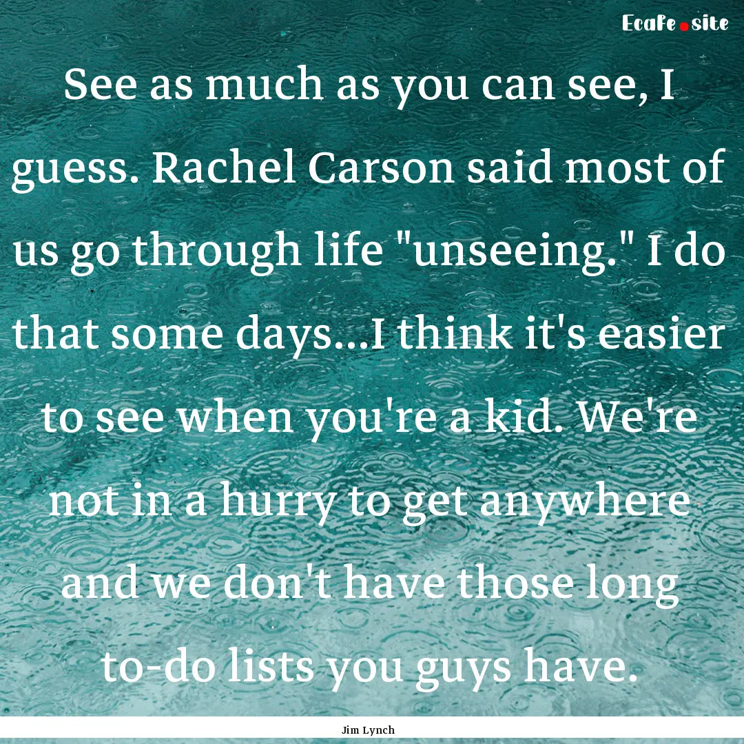 See as much as you can see, I guess. Rachel.... : Quote by Jim Lynch