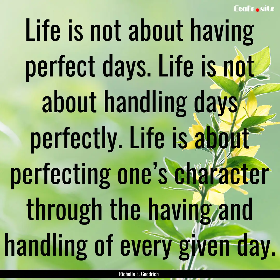 Life is not about having perfect days. Life.... : Quote by Richelle E. Goodrich