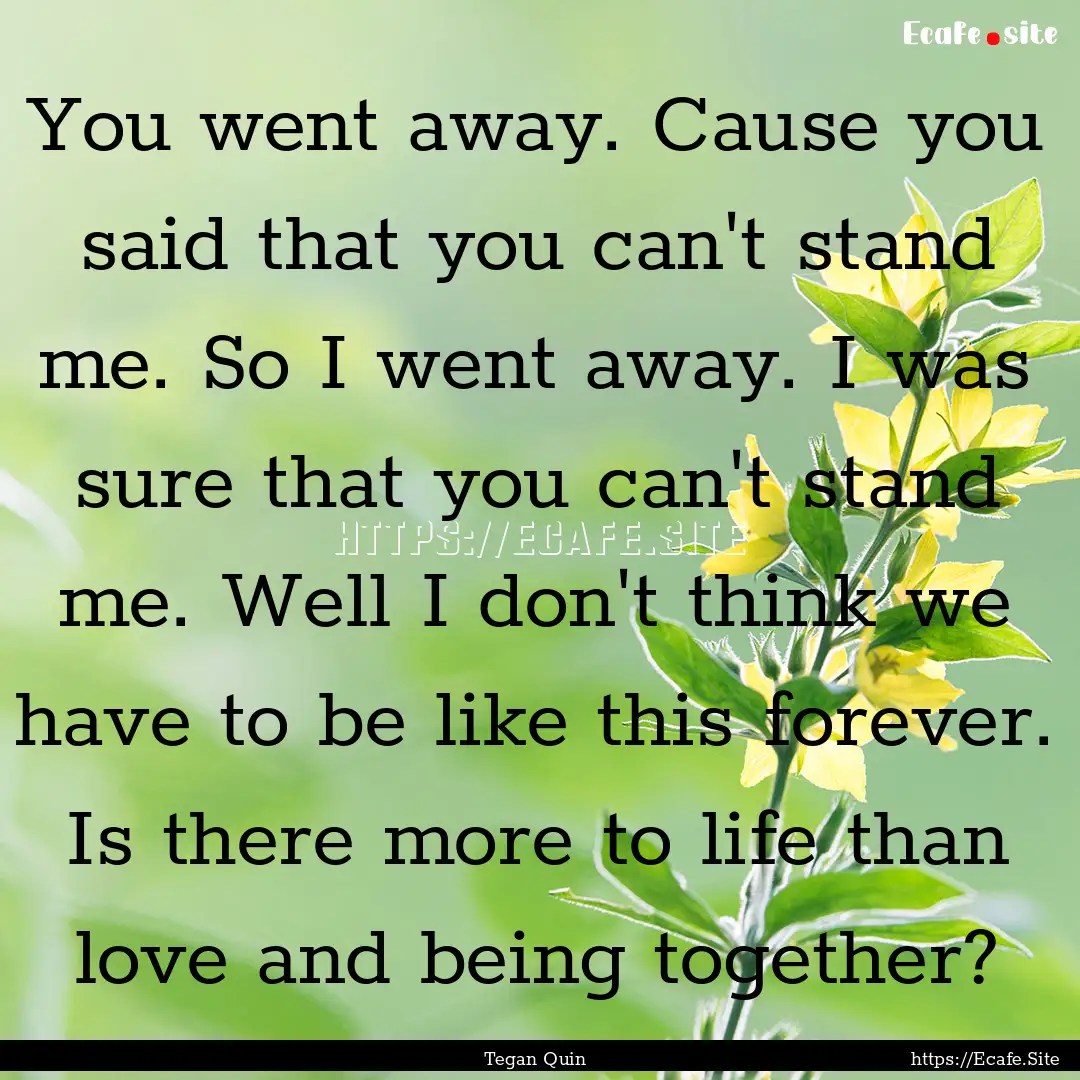 You went away. Cause you said that you can't.... : Quote by Tegan Quin