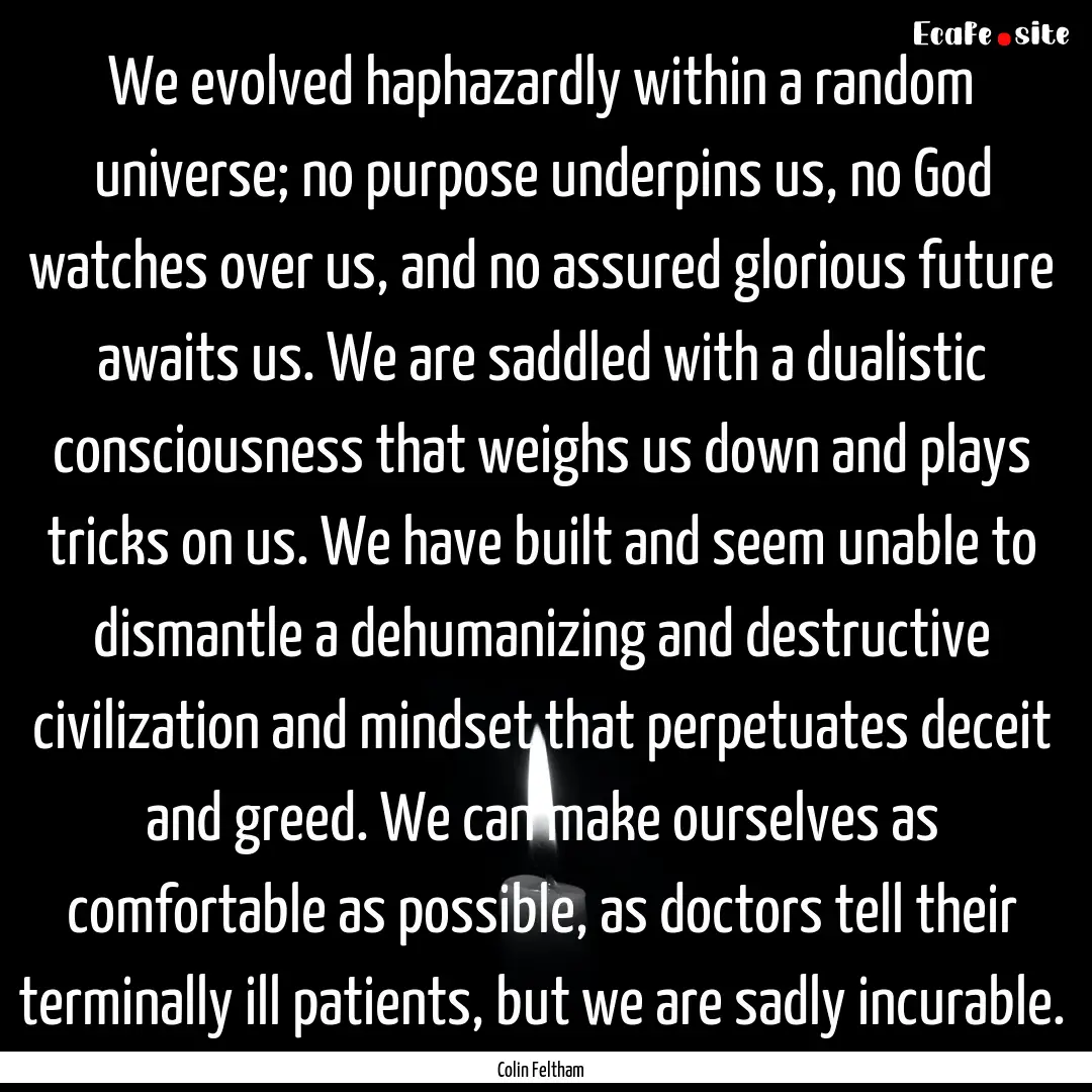 We evolved haphazardly within a random universe;.... : Quote by Colin Feltham