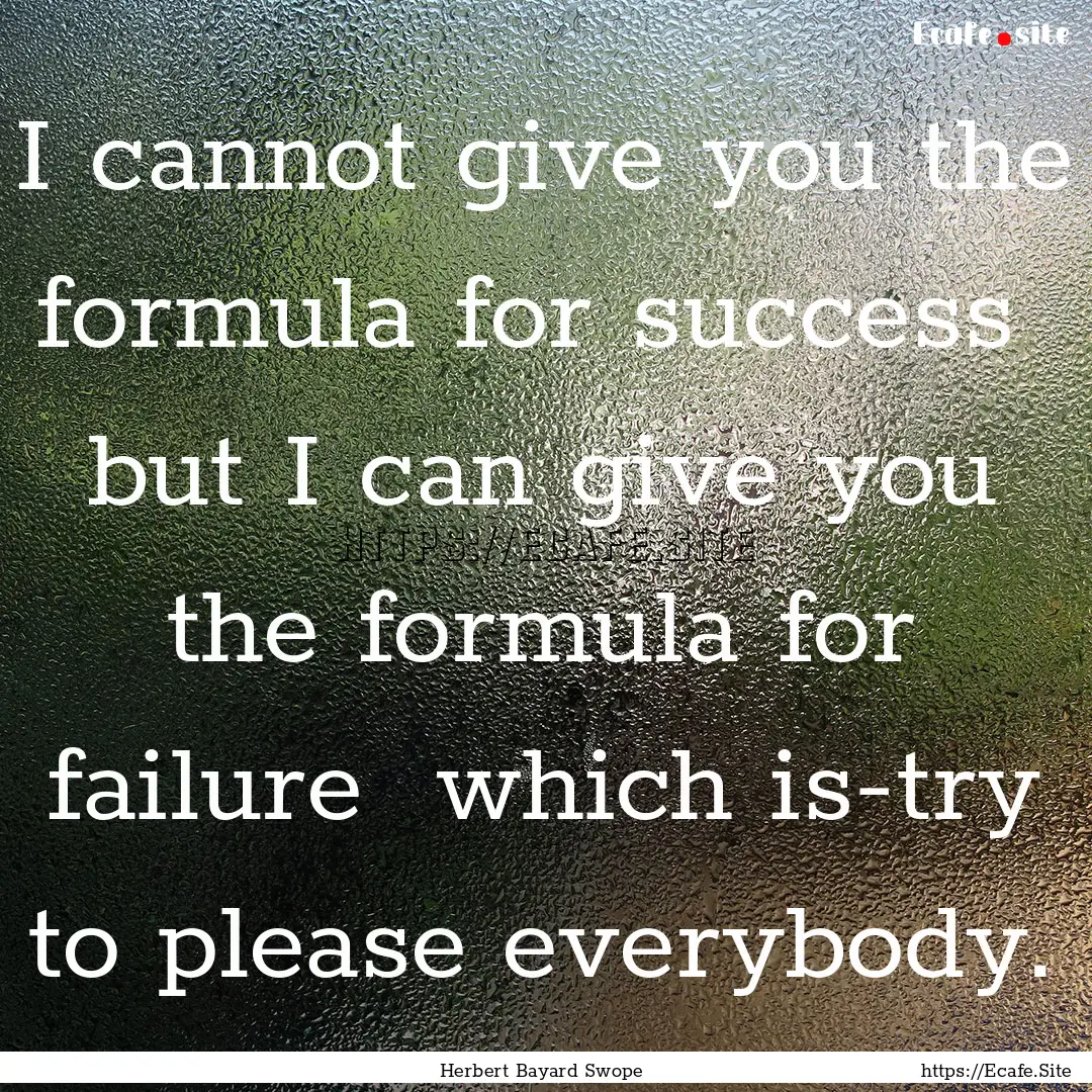 I cannot give you the formula for success.... : Quote by Herbert Bayard Swope