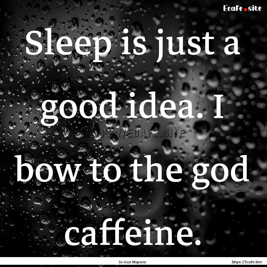 Sleep is just a good idea. I bow to the god.... : Quote by Jo-Ann Mapson