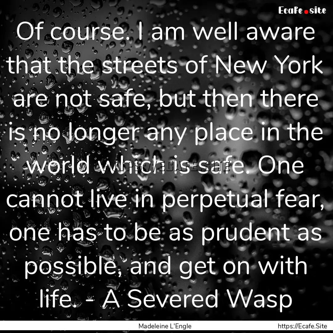 Of course. I am well aware that the streets.... : Quote by Madeleine L'Engle