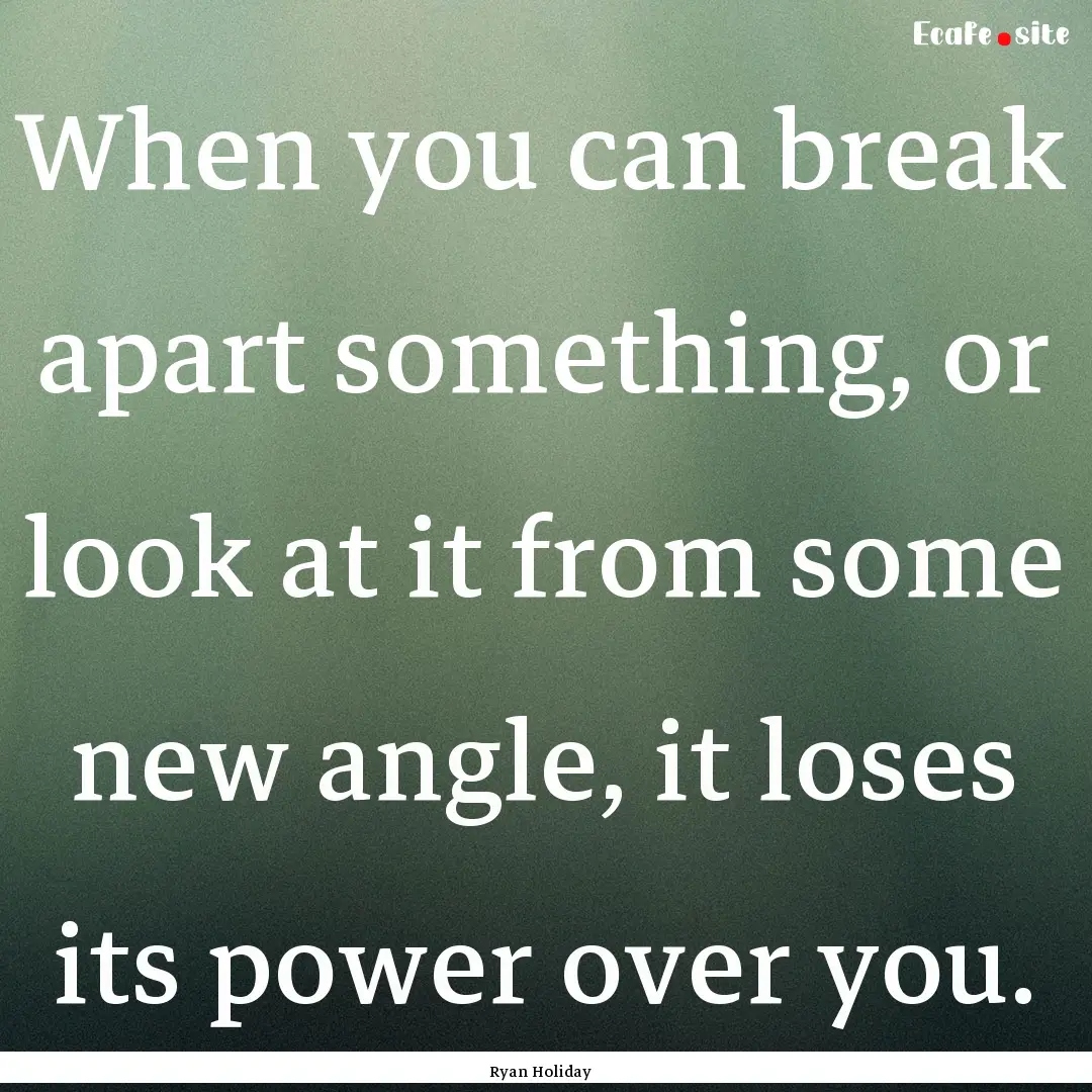 When you can break apart something, or look.... : Quote by Ryan Holiday