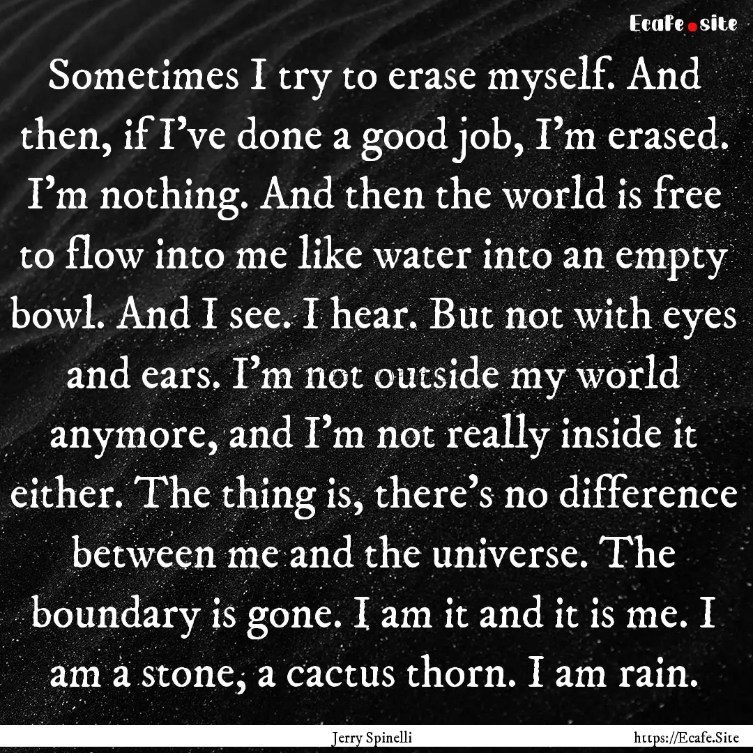 Sometimes I try to erase myself. And then,.... : Quote by Jerry Spinelli