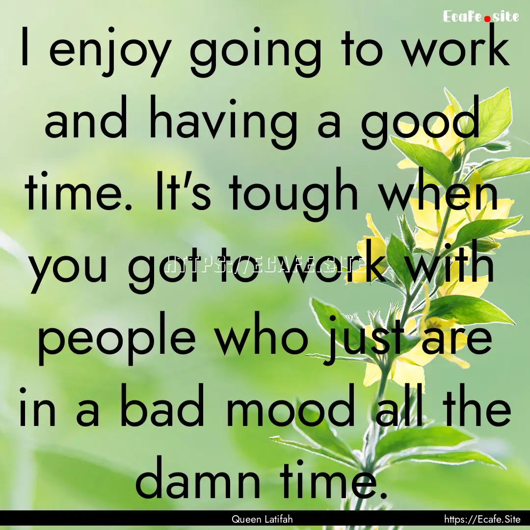 I enjoy going to work and having a good time..... : Quote by Queen Latifah