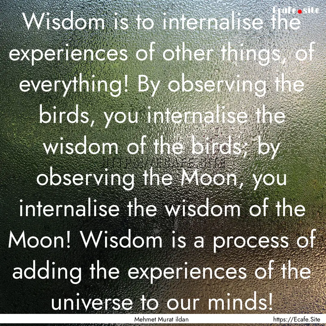 Wisdom is to internalise the experiences.... : Quote by Mehmet Murat ildan