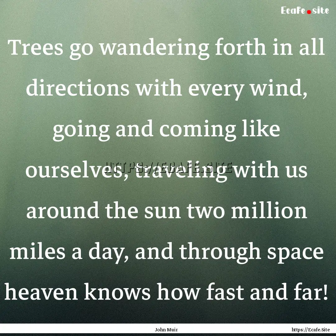 Trees go wandering forth in all directions.... : Quote by John Muir