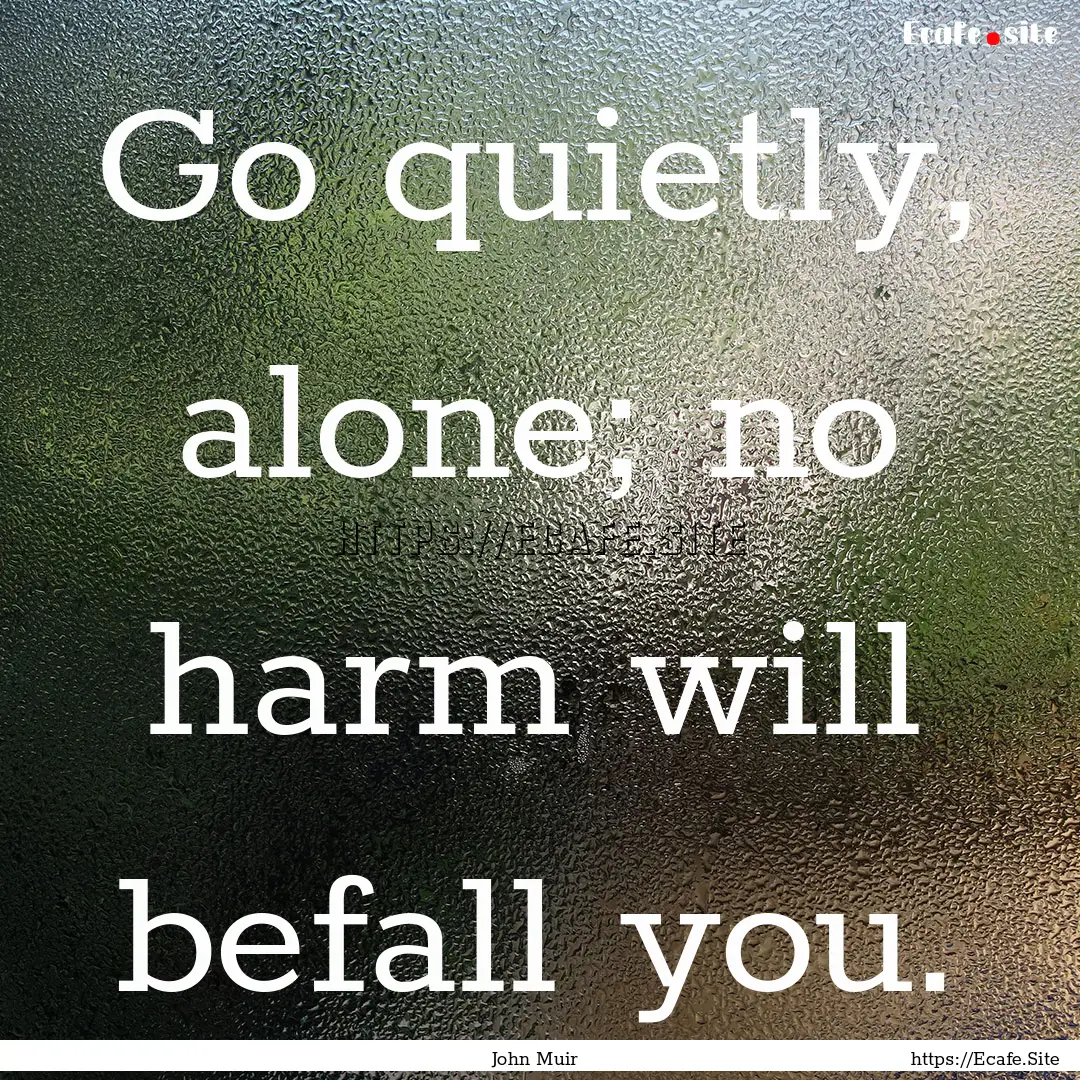 Go quietly, alone; no harm will befall you..... : Quote by John Muir