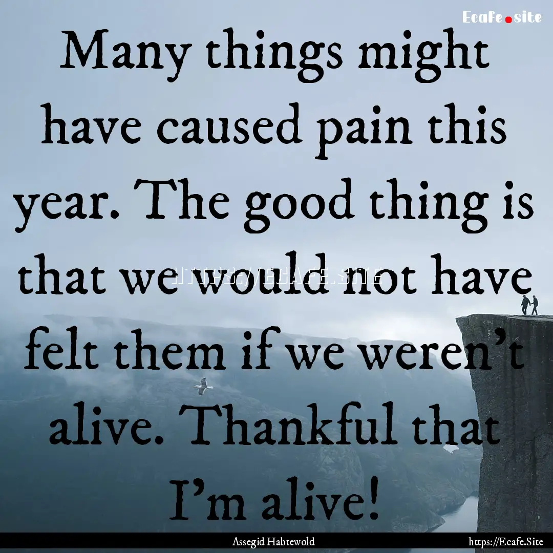 Many things might have caused pain this year..... : Quote by Assegid Habtewold