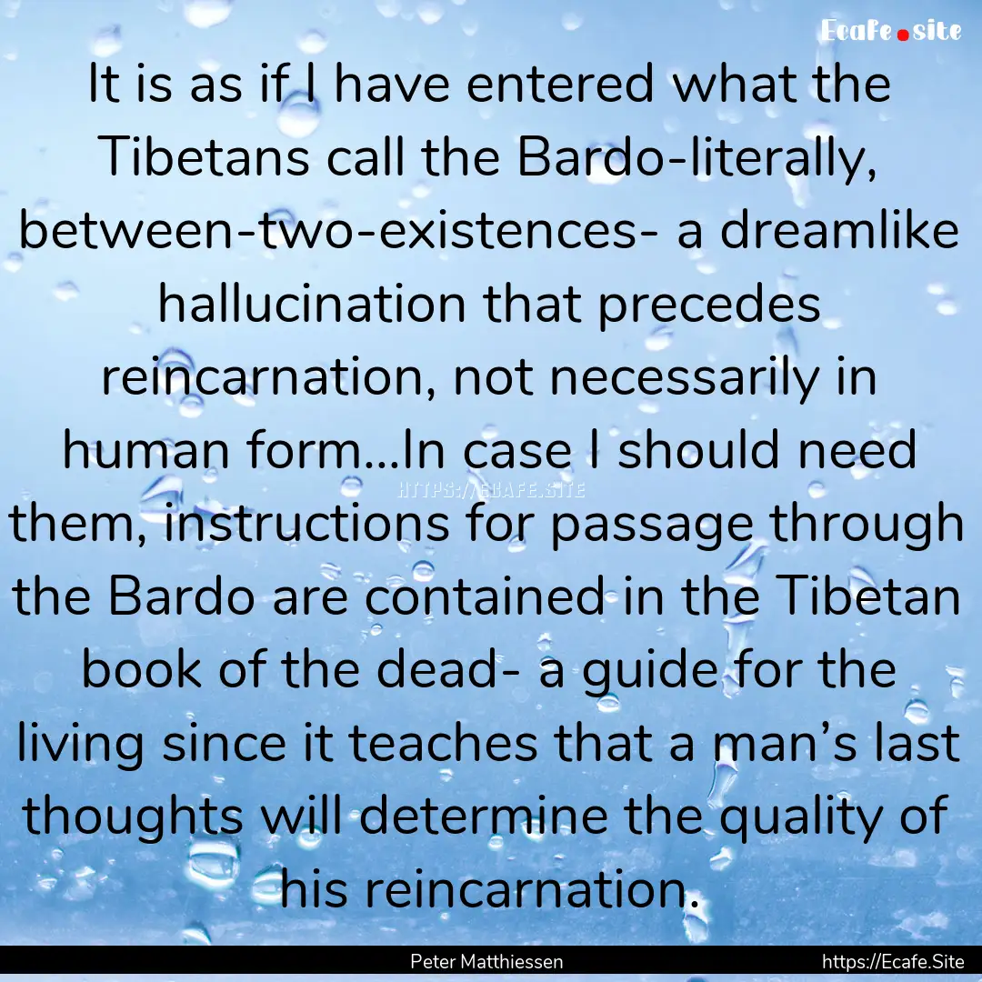 It is as if I have entered what the Tibetans.... : Quote by Peter Matthiessen