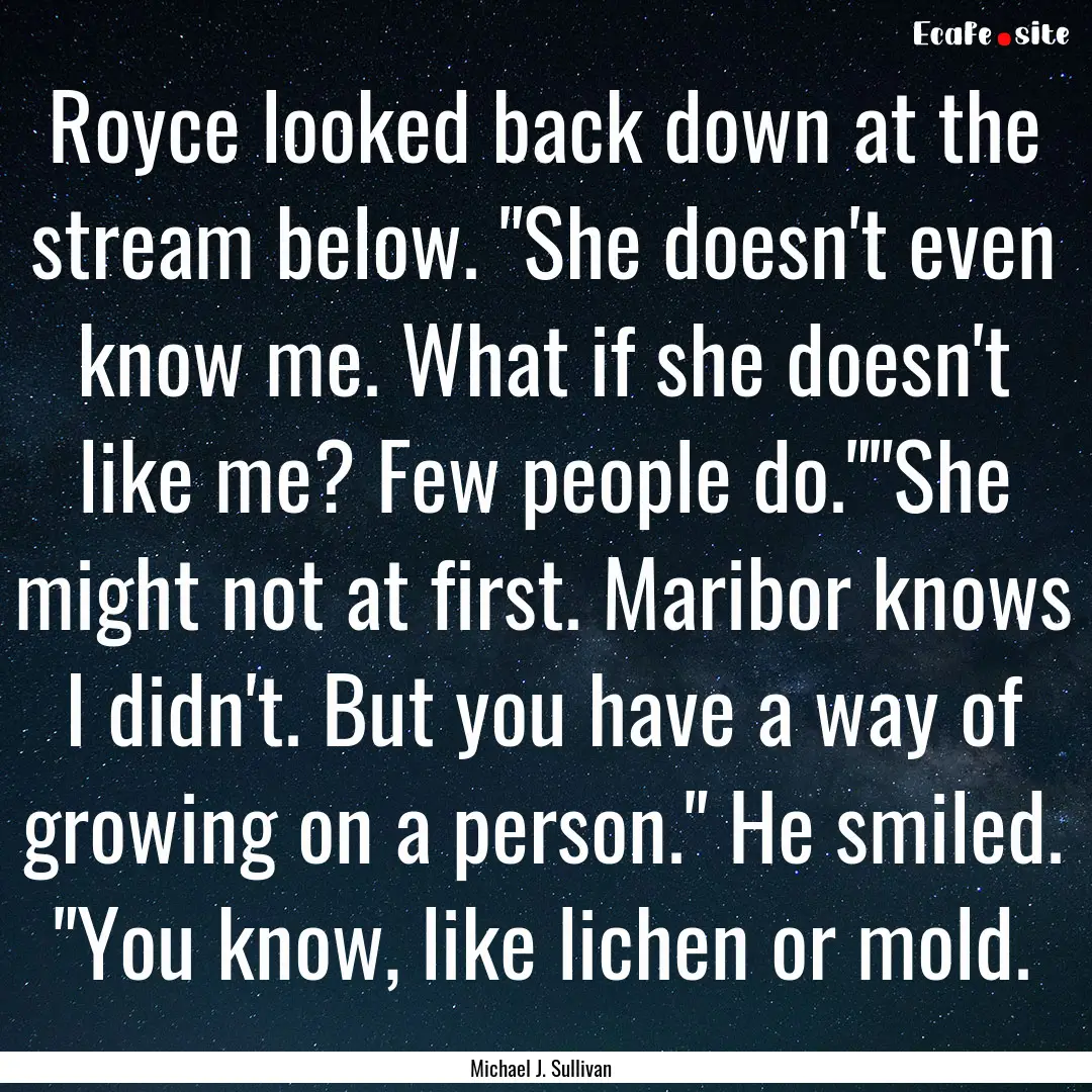 Royce looked back down at the stream below..... : Quote by Michael J. Sullivan