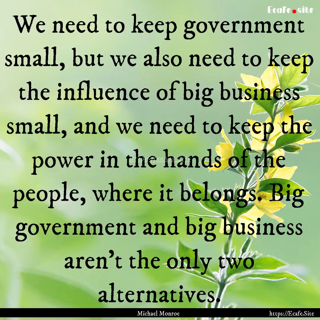 We need to keep government small, but we.... : Quote by Michael Monroe