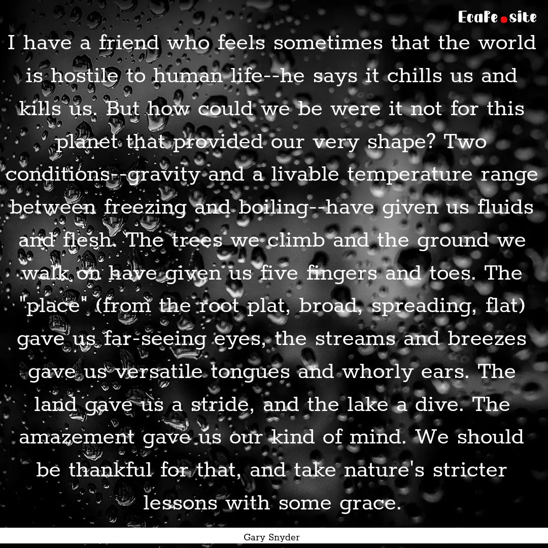 I have a friend who feels sometimes that.... : Quote by Gary Snyder