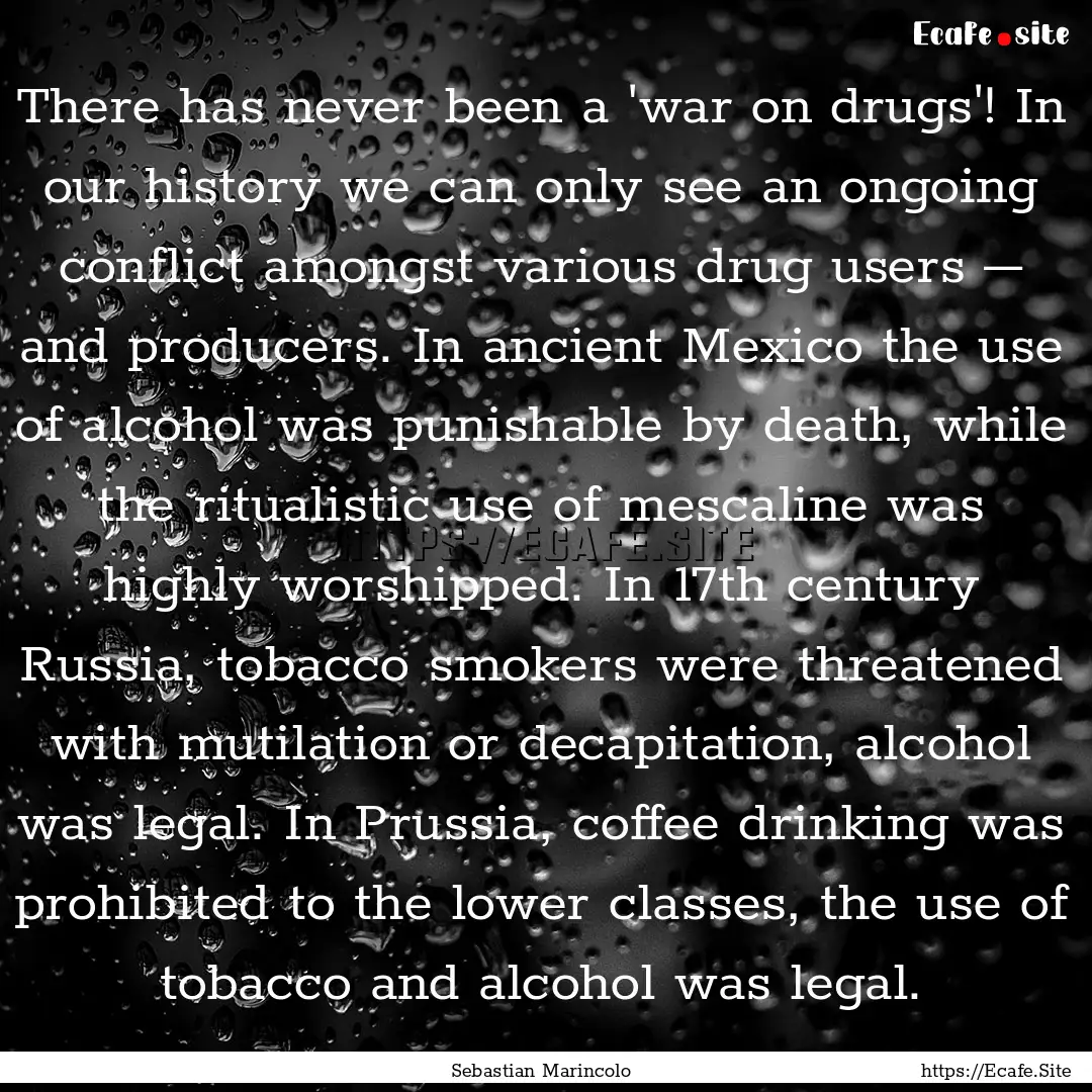 There has never been a 'war on drugs'! In.... : Quote by Sebastian Marincolo