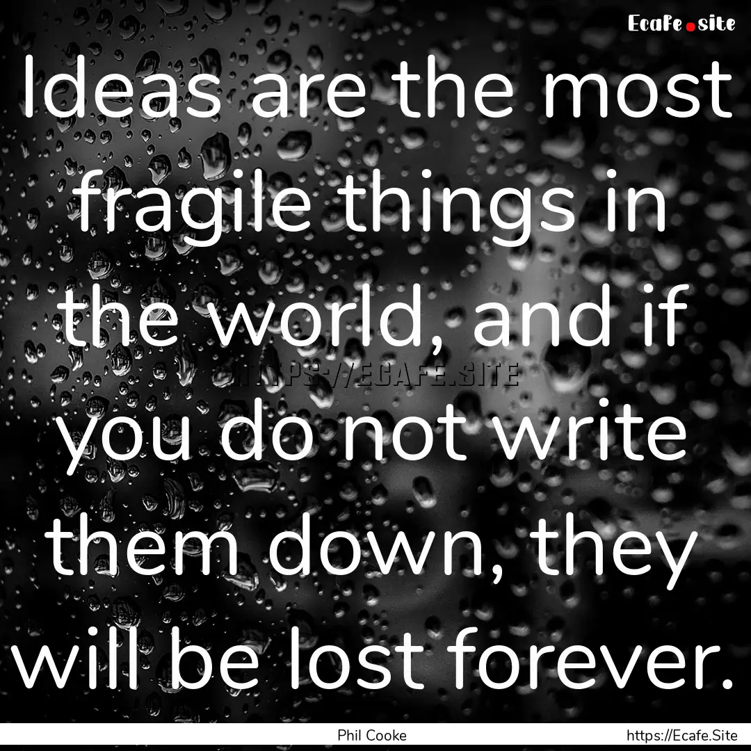 Ideas are the most fragile things in the.... : Quote by Phil Cooke