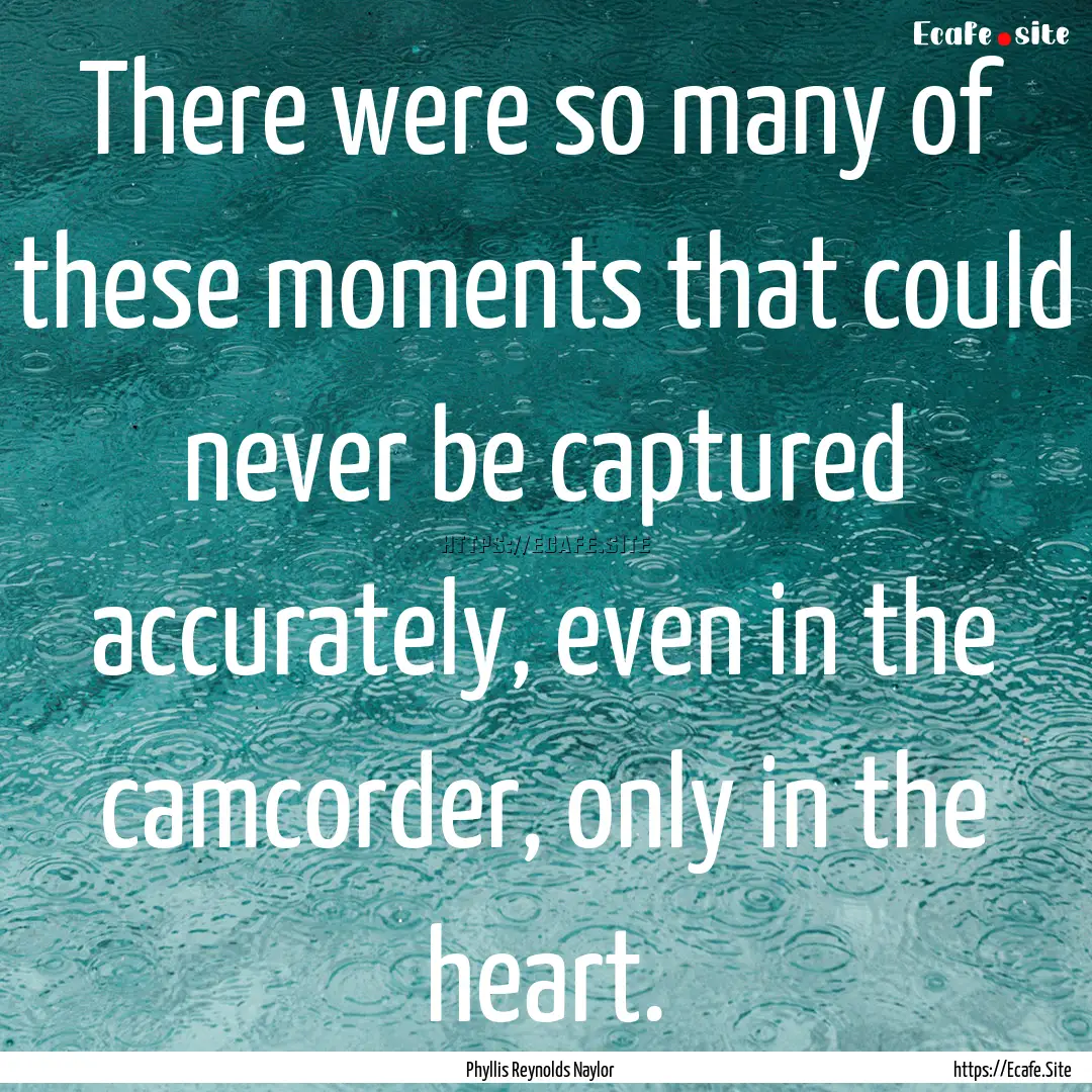 There were so many of these moments that.... : Quote by Phyllis Reynolds Naylor