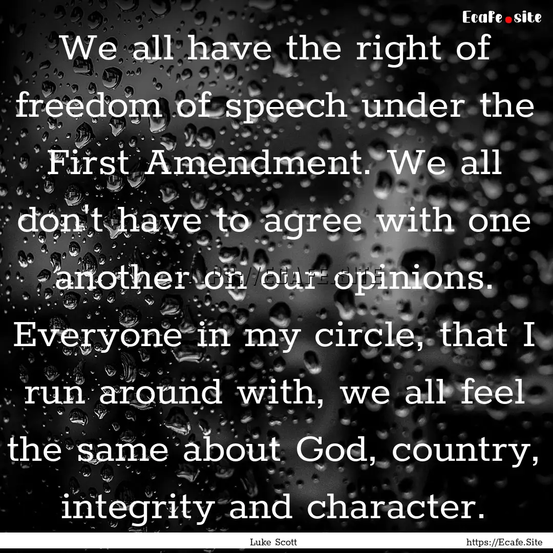 We all have the right of freedom of speech.... : Quote by Luke Scott