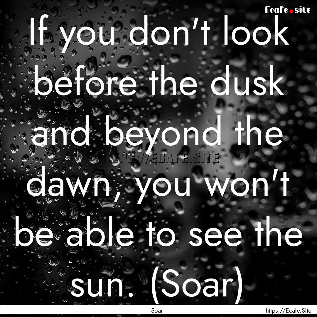 If you don't look before the dusk and beyond.... : Quote by Soar